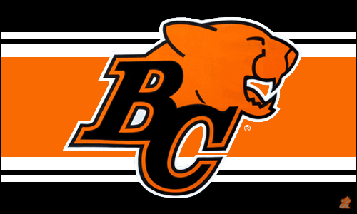 Image result for bc lions