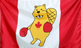 Other Canadian Flags