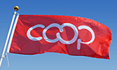 Co-op Logo Flags