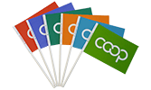 Co-op Paper Flags