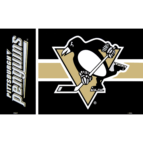 Pittsburgh Penguins on X: New banners this year for the Penguins and  Capitals. 😏  / X