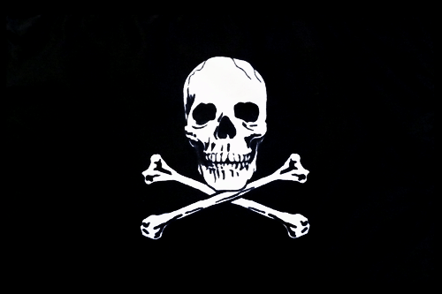 3x5 Jolly Roger Pirate Skull and Bones POISON Bordered Border Flag Grommets 