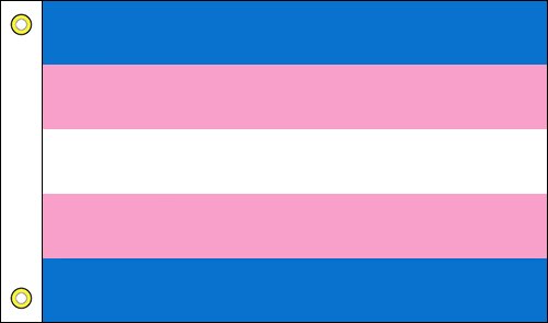 12" x 18" Transgender Flags - Boat Flags