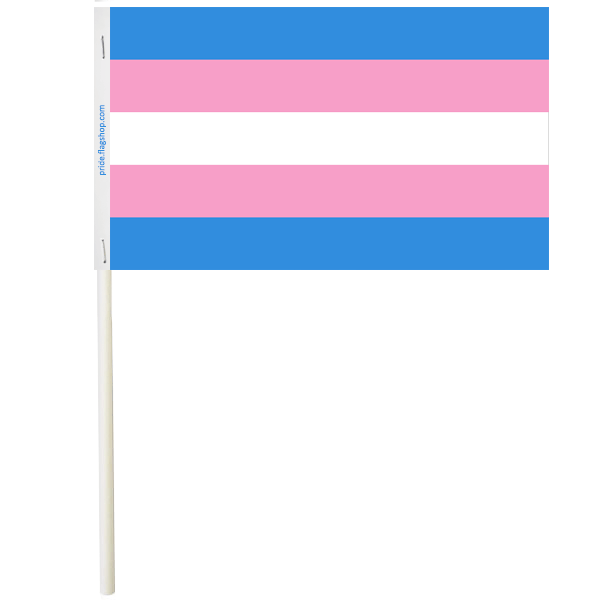 Transgender Paper Stick Flags, 4" x 6"