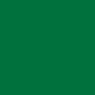 200D Irish Green Nylon (62")