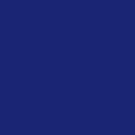 200D Legion Blue Nylon (62")