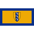 Richmond Flag