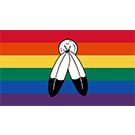 Two Spirit Pride Flags