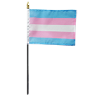 Transgender Stick Flags