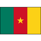 Cameroon Flags