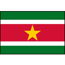 Suriname Flags