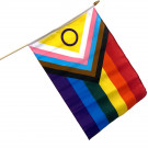 Intersex Inclusive Pride 12"x18" Stick Flag