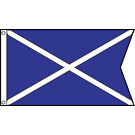 Membership Chairman Flag