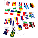 2014 World Cup Soccer Pennant String, 28'