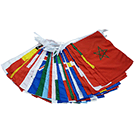 2018 World Cup Pennant Strings, 65'