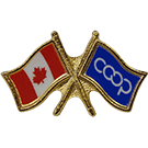 Canada/Co-op Crossed Pin, Blue