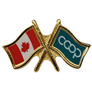 Canada/Co-op Crossed Pin, Green