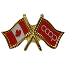 Canada/Co-op Crossed Pin, Red