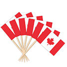 Canada Toothpick Flags