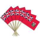 Manitoba Toothpick Flags