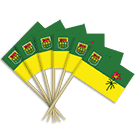 Saskatchewan Toothpick Flags