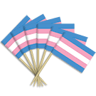Transgender Toothpick Flags