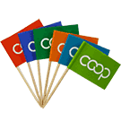 Co-op Toothpick Flags