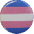 Transgender Buttons