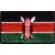 Kenya 1.5"x 2.5" Crest