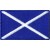 St. Andrews 1.5"x 2.5" Crest