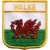 Wales 2.5"x 2.75" Shield Crest