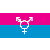 Canada Transgender Flag