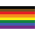 Philly Rainbow Flags