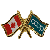 Canada/Co-op Crossed Pin, Green