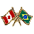 Canada/Brazil Crossed Pin