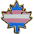 Transgender Maple Leaf Pin (3/4")